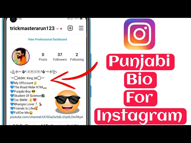 punjabi bio in instagram